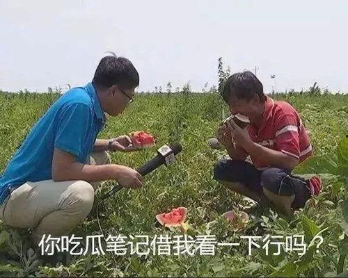 吃瓜姊妹是谁,网络红人的崛起与影响力