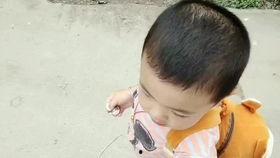 希望大家开心吃瓜,共享快乐滋味