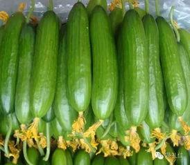 美小护吃瓜,揭秘娱乐圈幕后真相