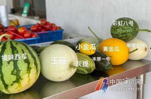 吃瓜吗 保甜,吃瓜吗？揭秘保甜水果的秘密