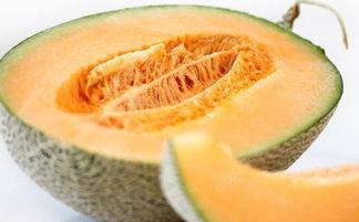 吃蜜瓜蛰舌头,揭秘吃蜜瓜蛰舌头背后的科学奥秘