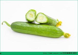 吃瓜补钙吗,吃瓜也能补钙？揭秘日常饮食中的钙质来源