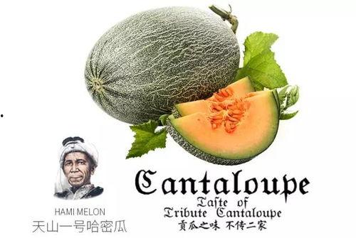 吃瓜1号,网络红人的崛起与影响力