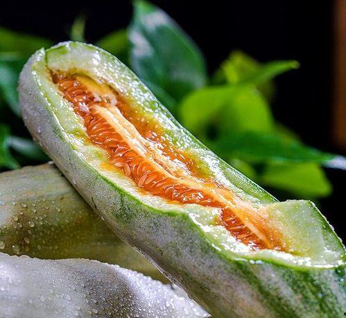 山东 吃瓜,瓜果飘香，品味生活