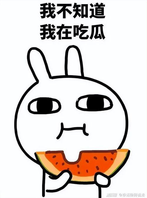 吃瓜为什么头痛,揭秘过度关注背后的健康隐患