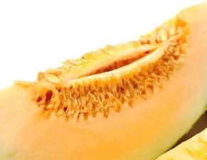 吃蜜瓜咳嗽的原因