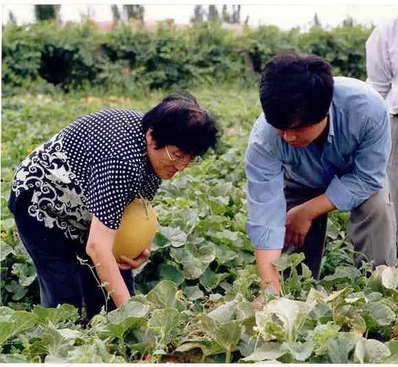 山工院吃瓜,揭秘校园热点背后的故事