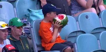 牙口很好的吃瓜群众,吃瓜群众畅享美味人生