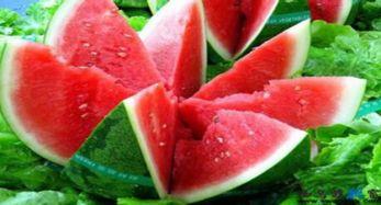 多肉吃瓜,多肉植物与夏日吃瓜的完美邂逅